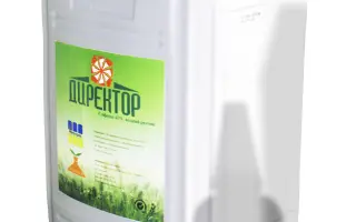 Директор, РК