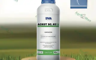 КОНСУЛЬТАНТ, КС