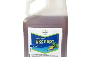Бетанал Експерт