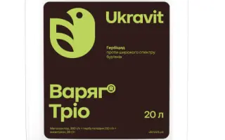 ВАРЯГ ТРІО, СЕ