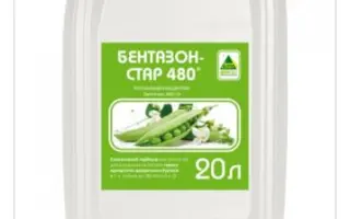 БЕНТАЗОН-СТАР