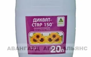 ДИКВАТ-СТАР