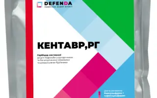 Кентавр, РГ