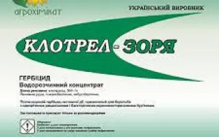 КЛОТРЕЛ-ЗОРЯ