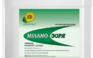 МІЛАНО-ЗОРЯ