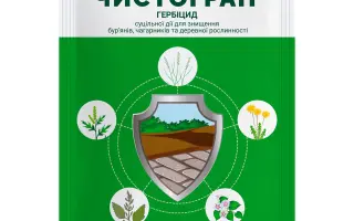 Чистогран ВГ.