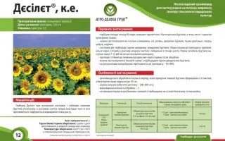 ДЕСИЛЕТ, КЕ