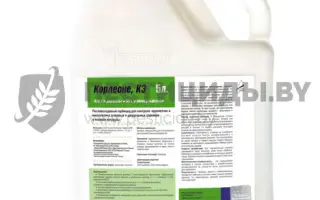 КОРЛЕОНЕ КЕ