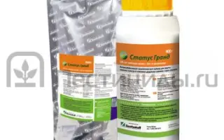 Статус Гранд РГ