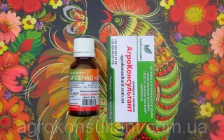 Арсенал Новий