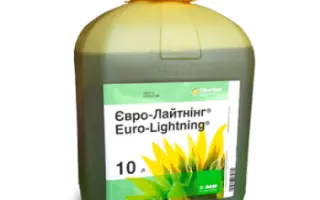 Євро-Лайтнінг, РК