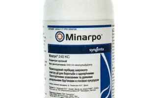 Мілагро 240, КС