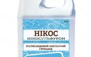 НИКО S