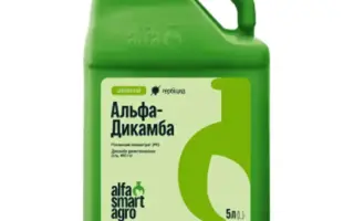 Альфа-Дикамба