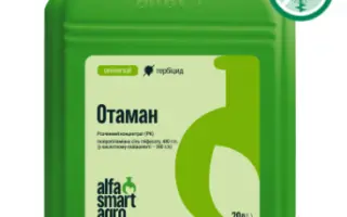 Aстaгліф 360 SL