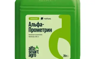 АЛЬФА-ПРОМЕТРИН