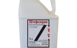 Штефклорам, РК