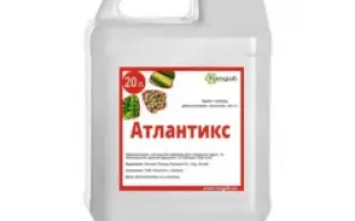 Атлантікс, КЕ