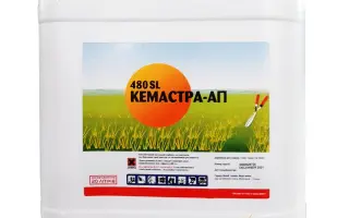 КЕМАСТРА-АП 480 SL