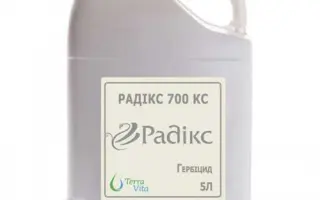 Радікс 700 КС