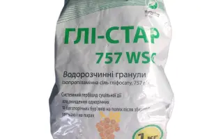 Глі-Стар 757 WSG