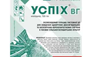 Успіх, ВГ