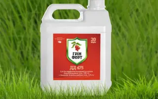 Грінфорт ДД 475