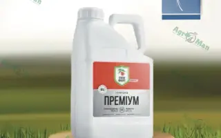 Грінфорт КМ 120