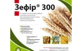 Зефір 300