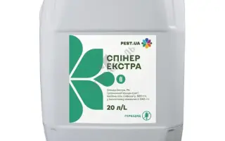 ЕКСПРЕС ЕКСТРА