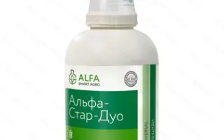 Альфа-Стар-Дуо