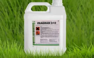 Зеагран 340, СЕ