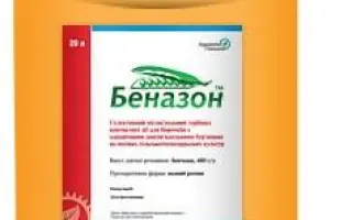 БЕНАЗОН, РК