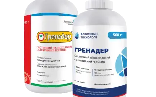 Гренадер, ВГ