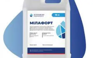 Мілафорт, КС