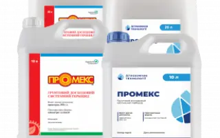Промекс, КС
