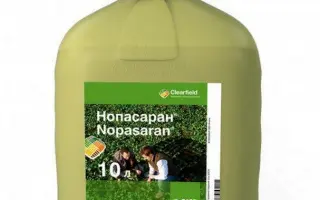 НОПАСАРАН КС
