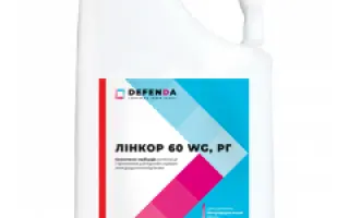 Лінкор 60 WG