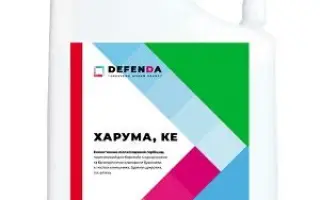 Харус Плюс КЕ