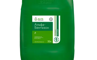 АЛЬФА-БЕНТАЗОН РК