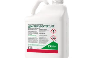 КЛЕТЕКТ, КЕ