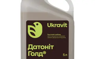 ДАТОНИТ ГОЛД