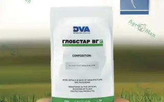 Глобстар ВГ