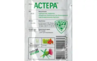 Астанал 274, КЕ