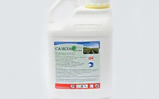 САМСОН Екстра 6 OD