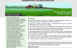 Статус Гранд ВГ