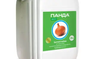ПАНДА, КЕ