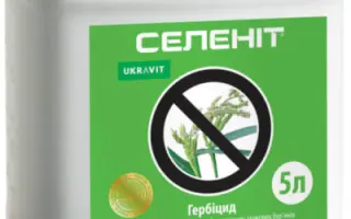 СЕЛЕНІТ, КЕ