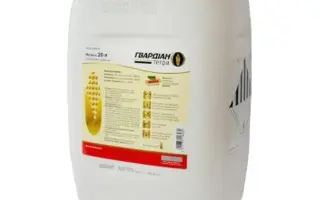 Гвардіан Тетра