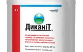 ДИКАНИТ, РК